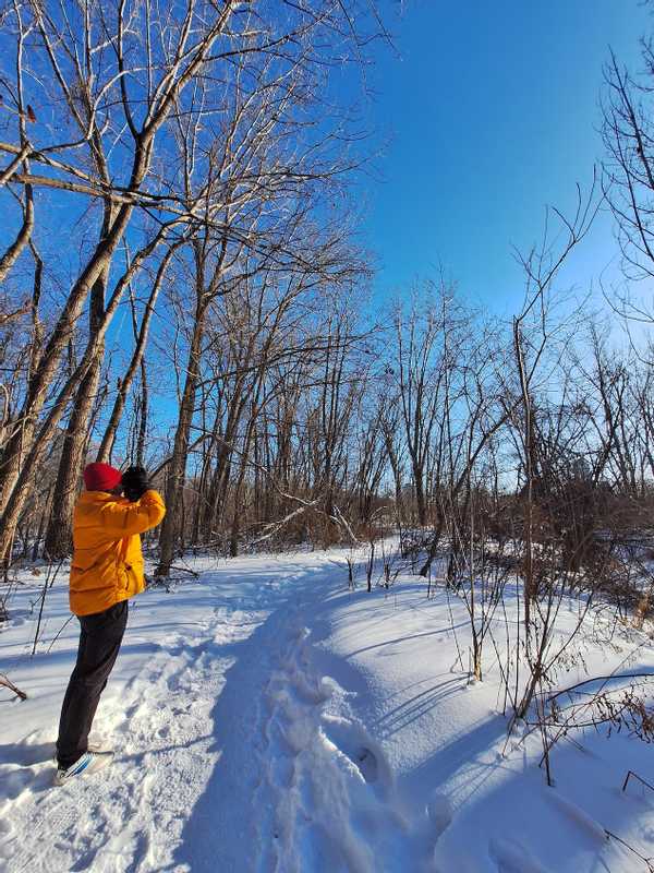 Birdwatching in Montreal in winter!