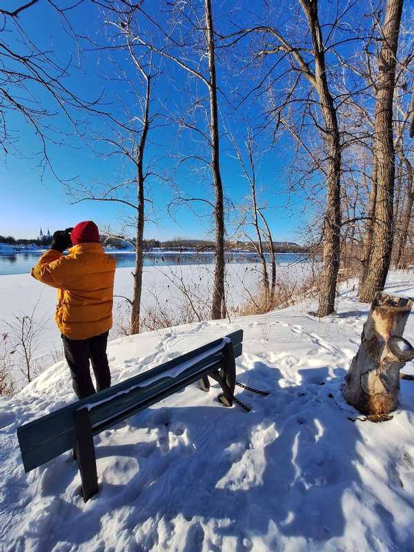 Ornithologie in Montreal im Winter!